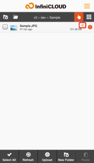 Shared file in list