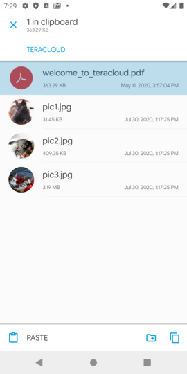 Copy the files