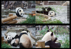 4分割